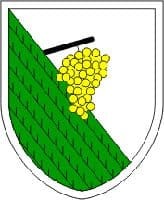 Občina Kungota