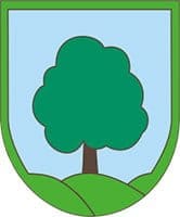 Občina Ravne na Koroškem