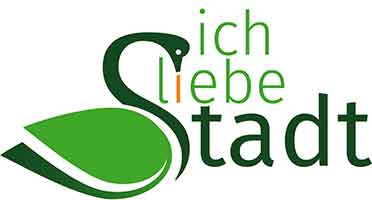 Schwanenstadt